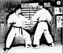 Kushin 2