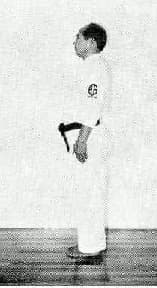 Heisoku Dachi — side view