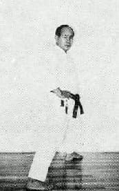 Kokutsu Dachi — front view