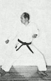 Kokutsu Dachi — side view