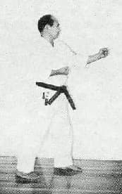 Moto Dachi — side view