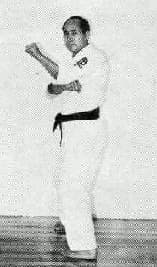 Uchi-Hachiji Dachi — side view