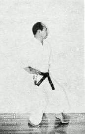 Nekoashi Dachi — side view