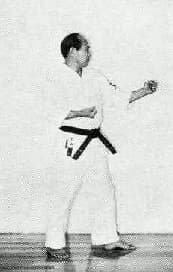Renoji Dachi — side view