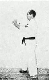 Sanchin Dachi — side view
