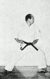 Tee-Ji Dachi — side view