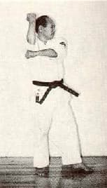 Ukiashi Dachi — side view