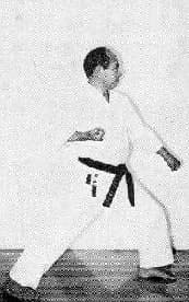 Zenkutsu Dachi — side view